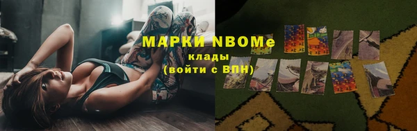 прущие крисы Белокуриха