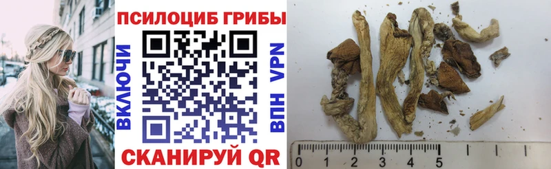 Купить  Воткинск  Галлюциногенные грибы мухоморы 
